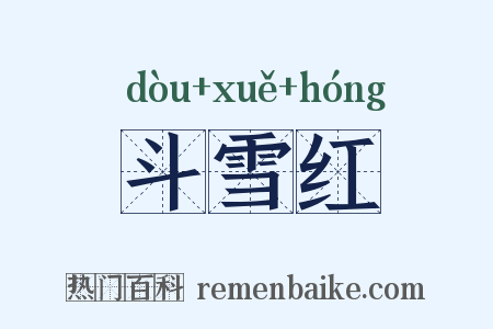 斗雪红是什么意思的图片